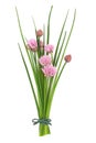 Chives Herb Flower Posy