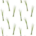 Chives pattern