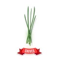 Chives stems and comic shaded ribbon banner