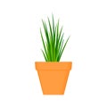 Chives vector culinary herb in terracotta pot. Royalty Free Stock Photo