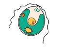 Chlamydomonas proteus science icon with nucleus, vacuole, contractile. Biology education laboratory cartoon protozoa Royalty Free Stock Photo