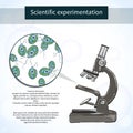 Chlamydomonas under the microscope. Scientific laboratory