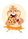 Hamster eats cookies. Cute and funny girl hamster.