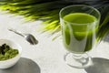 Chlorella detox healthy drink in glass and powder on light background. Superfood, natural antioxidant for a green diet. Anti-aging
