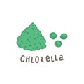 Chlorella powder superfood.