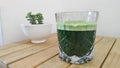 Chlorella