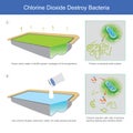 Chlorine Dioxide Destroy Bacteria.