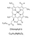 Chlorophyll b, used by plants for photosynthesis, chemical structure