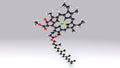 Chlorophyll B structure