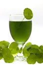 Chlorophyll drink Royalty Free Stock Photo