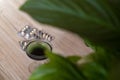 Chlorophyll extract is poured into clean water in a glass on a wooden background with a green leaf. Liquid chlorophyll in a glass Royalty Free Stock Photo