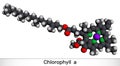 Chlorophyll A, chlorophyll molecule. It is photosynthetic pigment used in oxygenic photosynthesis. Molecular model. 3D rendering