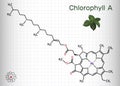 Chlorophyll A, chlorophyll molecule. It is photosynthetic pigment used in oxygenic photosynthesis. Skeletal chemical formula.