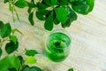 chlorophyll supplement in a glass of water. Selective focus.