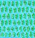 Chloroplasts visible in the cells Royalty Free Stock Photo