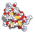 Chlorotoxin scorpion toxin. Peptide toxin present in deathstalker scorpion venom. Blocks chloride channels