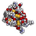 Chlorotoxin scorpion toxin. Peptide toxin present in deathstalker scorpion venom. Blocks chloride channels