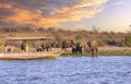 Chobe National Park, Botswana : Tourists in a boat observe elephants along the riverside of Chobe River in Chobe National Park, Royalty Free Stock Photo