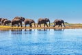 The Chobe National Park