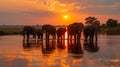 On the Chobe River, an extraordinary sunset cast a deep orange glow over the elephants gathering to drink