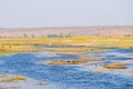 Chobe River landscape, view from Caprivi Strip on Namibia Botswana border, Africa. Chobe National Park, famous wildlilfe reserve Royalty Free Stock Photo