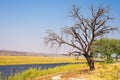 Chobe River landscape, view from Caprivi Strip on Namibia Botswana border, Africa. Chobe National Park, famous wildlilfe reserve Royalty Free Stock Photo