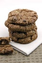 Choc Chip Cookies Royalty Free Stock Photo