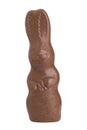 Choccolate rabbit