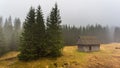 Chocholowska Valley, Tatra Mountains, Poland