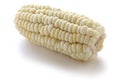 Choclo, giant white corn Royalty Free Stock Photo