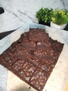 Chocochips brownies cut in square shapes