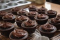 chocoholic baking chocolate cupcakes for friends birthday party Royalty Free Stock Photo