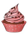 Chocolade cupcake decorated with pink cream