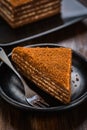 Chocolade honey cake Royalty Free Stock Photo