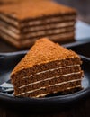 Chocolade honey cake Royalty Free Stock Photo