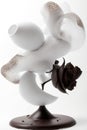 Creamy Dream: A Dreamy Rose to Enhance Your Centerpiece
