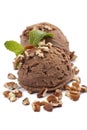 Chocolate almond premium ice cream with mint leaf