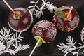 Chocolate apples Royalty Free Stock Photo