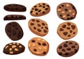 Chocolate baked cookies on white background illustration vector