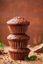 Chocolate banana muffin on wooden background. Delicious homemade bakery. Royalty Free Stock Photo