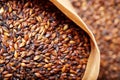 Grains of barley malt for beer production. Chocolate barley malt, used for the production of craft and home beer.