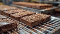 Chocolate Bars Cooling on a Rack in a Factory