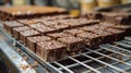 Chocolate Bars Cooling on a Rack in a Factory