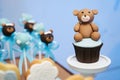 Chocolate Bear cake pops and biscuit cupcake Royalty Free Stock Photo