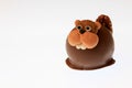 Chocolate Beaver