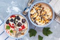 Chocolate and berry smoothies bowls. Royalty Free Stock Photo