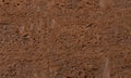 Chocolate Biscuit Texture Background or Sponge Cake Pattern