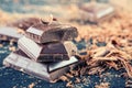 Chocolate. Black chocolate. A few cubes of black chocolate with mint leaves. Chocolate slabs spilled from grated chockolate powder Royalty Free Stock Photo