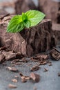 Chocolate. Black chocolate. A few cubes / blocks of black chocolate with mint leaves. Chocolate slabs spilled from grated Royalty Free Stock Photo