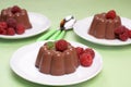 Chocolate blancmange Royalty Free Stock Photo